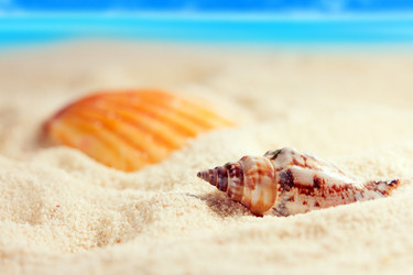 Similar image 520021