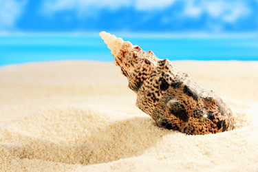 Similar image 520024