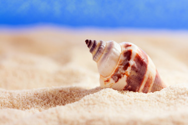 Similar image 520029