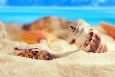 Similar image 520034