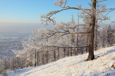 Similar image 520148