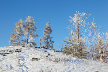 Similar image 520149