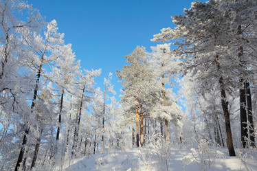 Similar image 520150