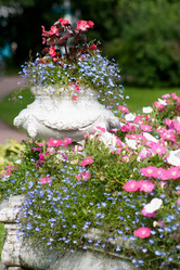 Similar image 520156