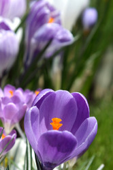 Similar image 520171