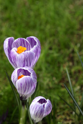 Similar image 520172