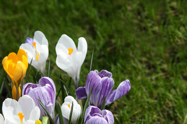 Similar image 520175