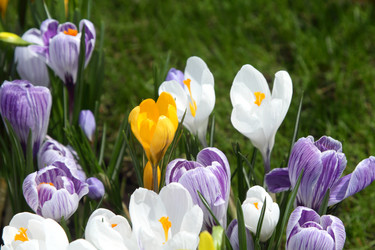 Similar image 520176