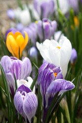 Similar image 520178