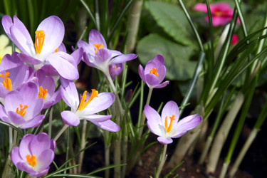 Similar image 520181