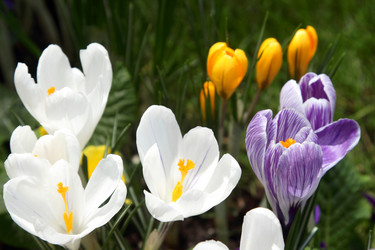 Similar image 520183