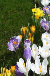 Similar image 520188