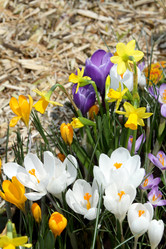 Similar image 520190