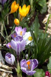 Similar image 520194