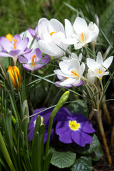 Similar image 520196