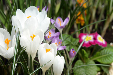 Similar image 520197