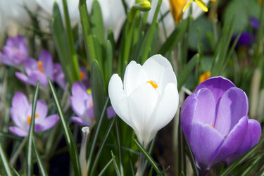 Similar image 520199