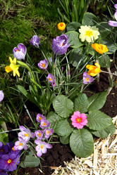 Similar image 520204