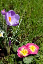 Similar image 520206