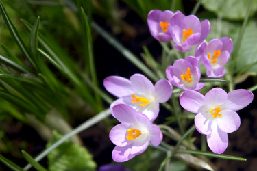 Similar image 520207