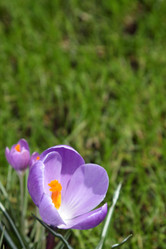 Similar image 520209