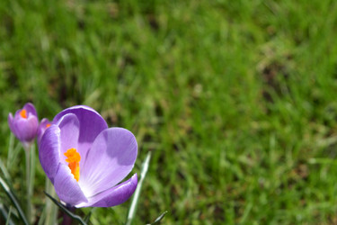 Similar image 520211