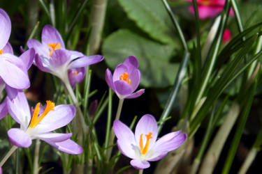 Similar image 520212