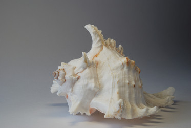 Similar image 520322