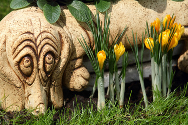 Similar image 520358