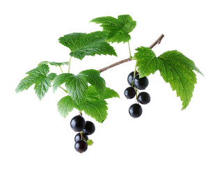 Similar image 520445