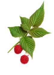 Similar image 520478