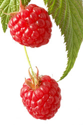 Similar image 520480