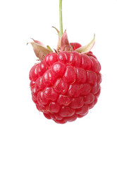 Similar image 520513