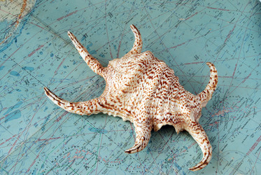 Similar image 520644