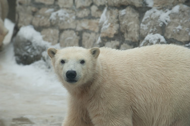 Similar image 520664