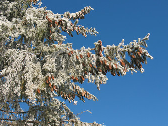 Similar image 520697