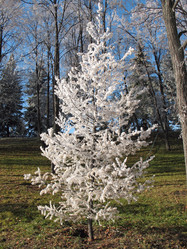 Similar image 520698