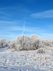 Similar image 520699