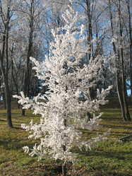 Similar image 520713