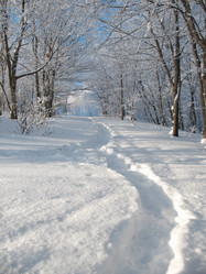 Similar image 520717