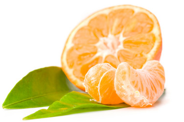 Similar image 520850