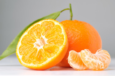 Similar image 520866