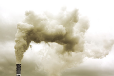 Similar image 520878