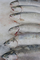 Similar image 520880