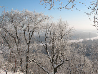 Similar image 520904