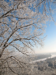 Similar image 520908