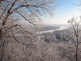 Similar image 520909