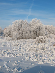 Similar image 520933