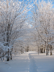 Similar image 520935