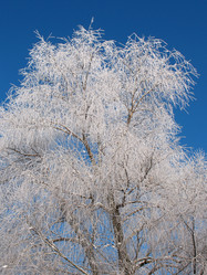 Similar image 520941